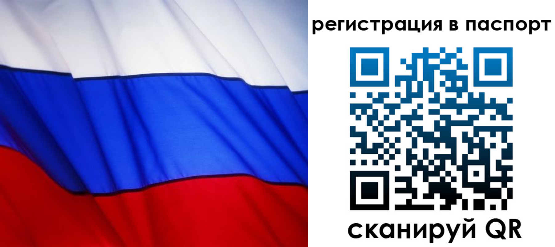 прописка 2025 в Коврове